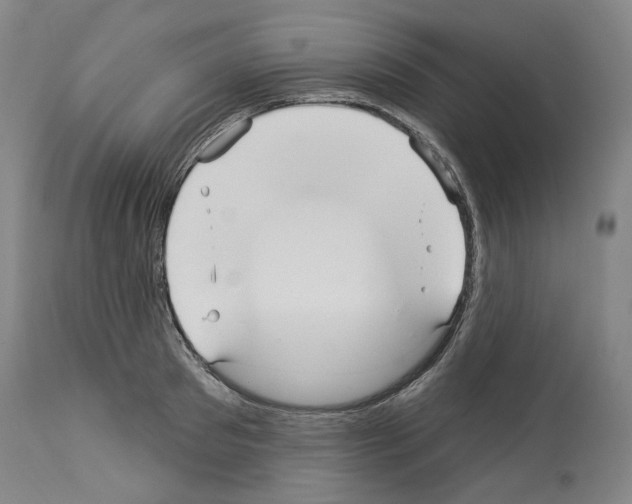 X0000113960897200911061323