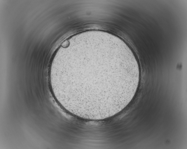 X0000113960898200911061323