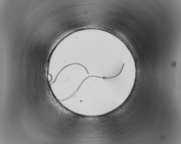 X0000113960900200911061323
