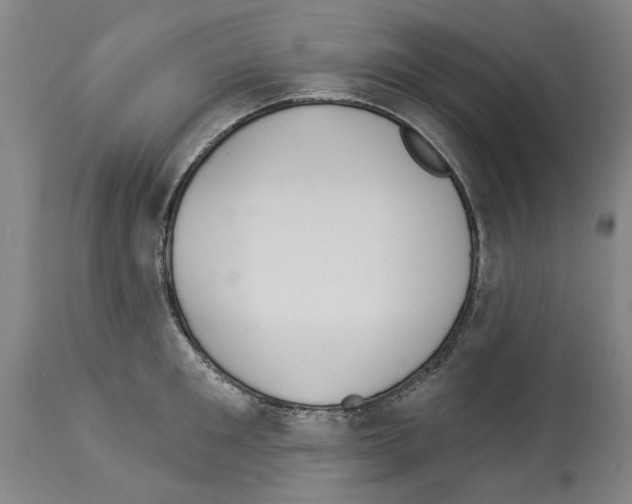 X0000113960901200911061323