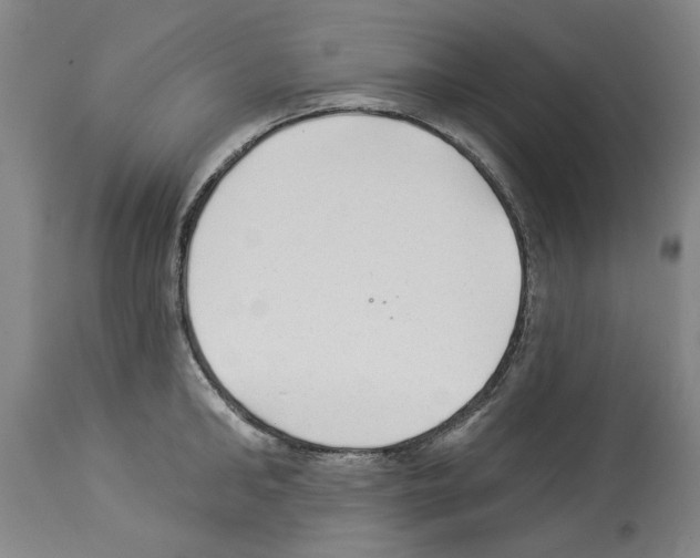 X0000113960902200911061323
