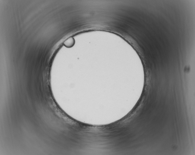 X0000113960904200911061323