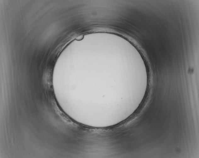 X0000113960905200911061323