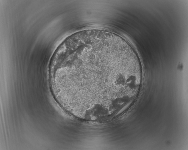 X0000113960907200911061323