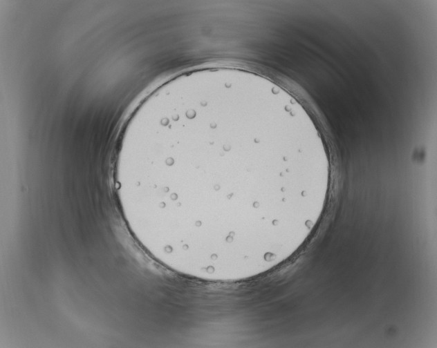 X0000113960908200911061323