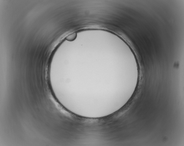 X0000113960909200911061323