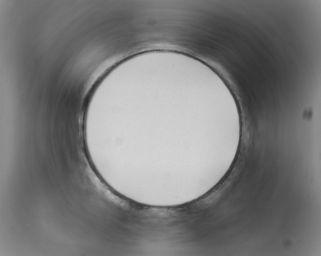 X0000113960910200911061323