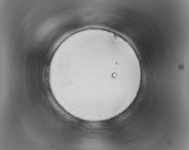 X0000113960911200911061323
