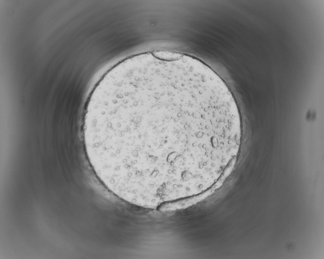 X0000113960912200911061323