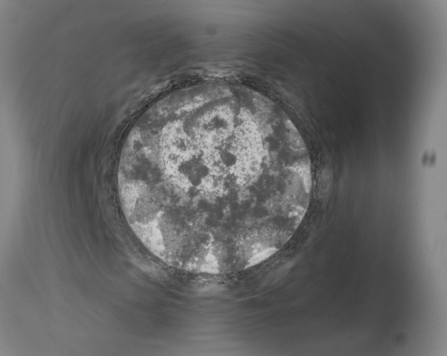 X0000113960913200911061322