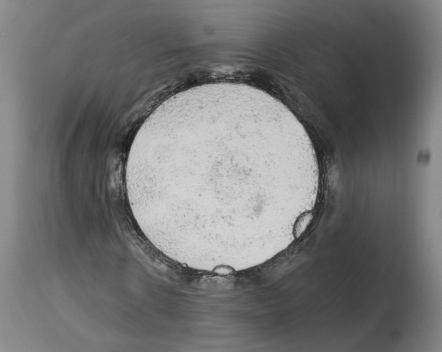 X0000113960914200911061322
