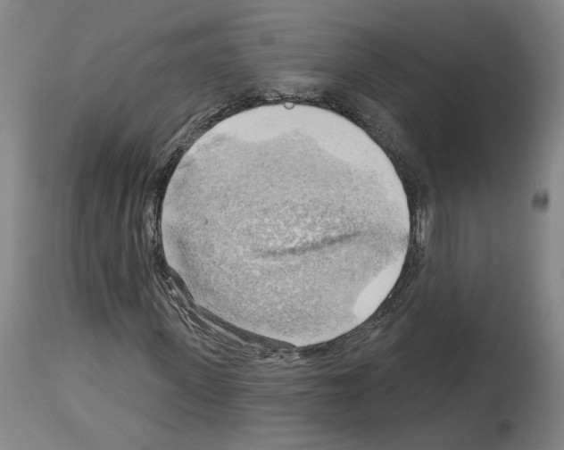 X0000113960915200911061322