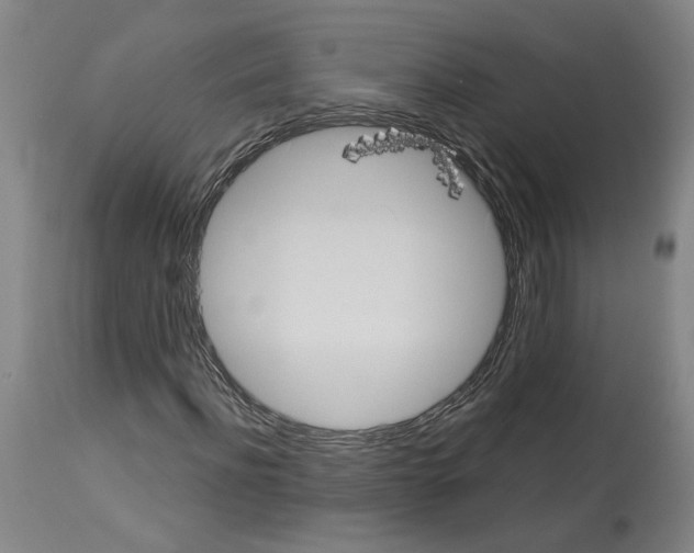 X0000113960916200911061322
