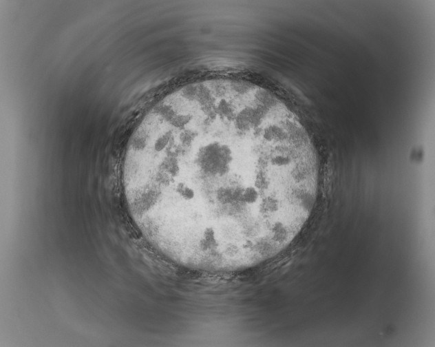 X0000113960917200911061322