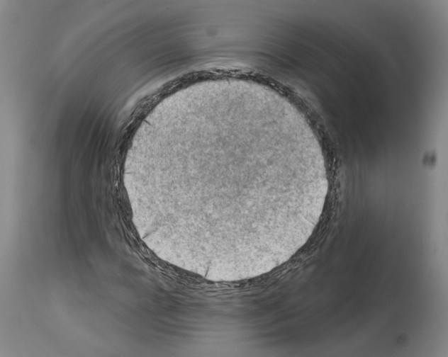 X0000113960920200911061322