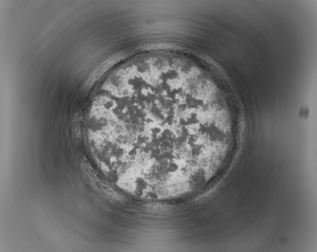 X0000113960921200911061322