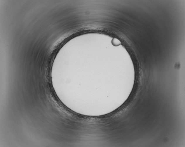 X0000113960922200911061322
