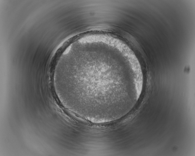 X0000113960923200911061322