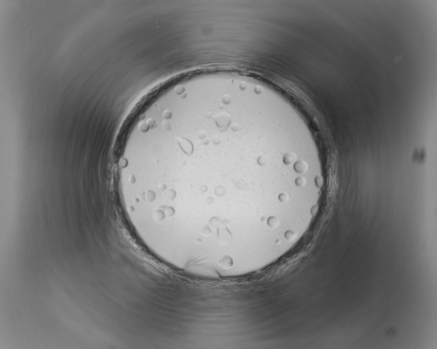 X0000113960924200911061322
