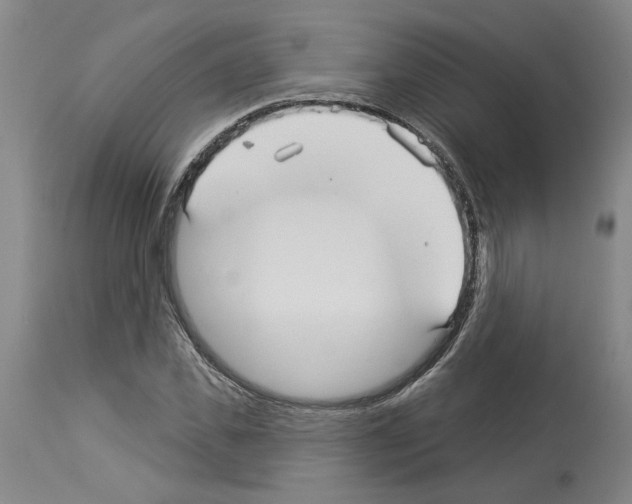 X0000113960925200911061322
