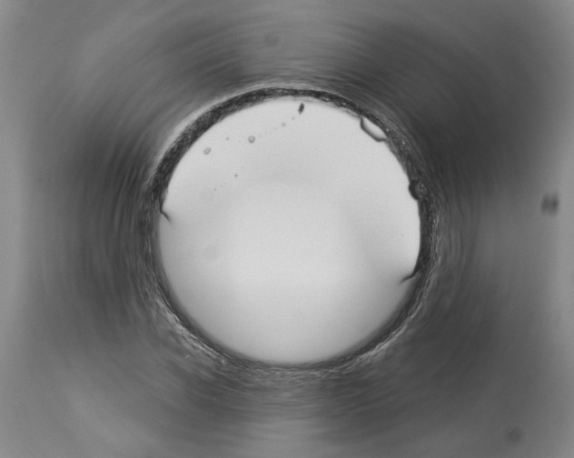 X0000113960926200911061322