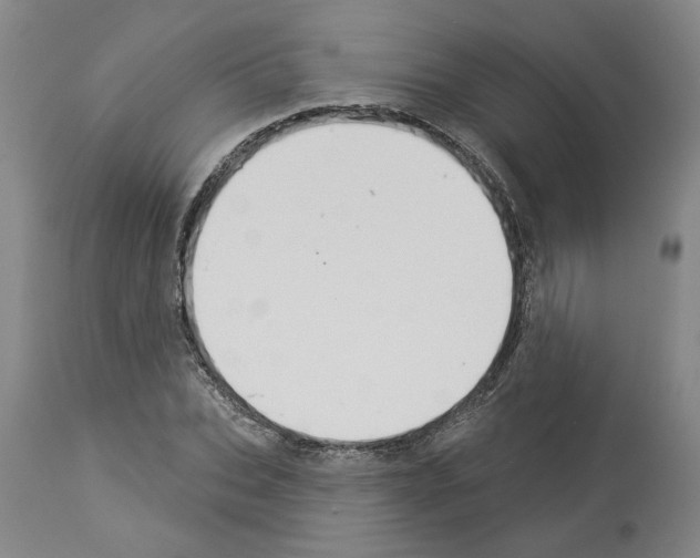 X0000113960927200911061322
