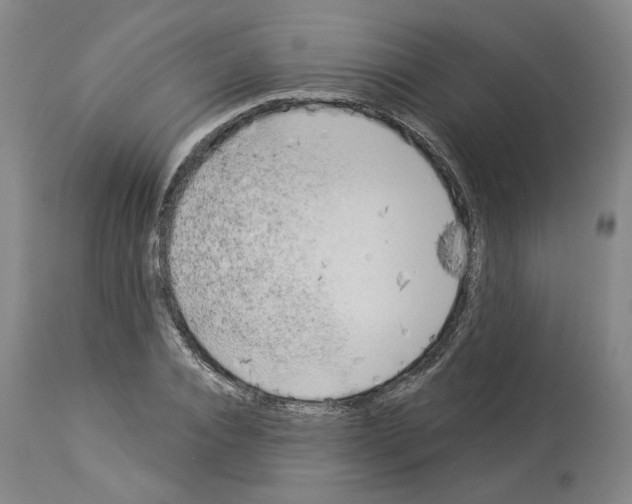 X0000113960928200911061322