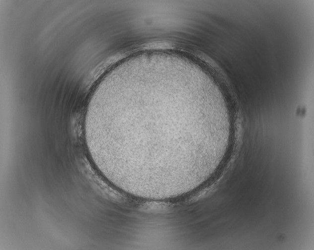 X0000113960929200911061322