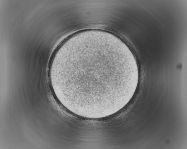 X0000113960932200911061322