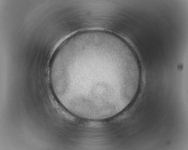 X0000113960933200911061322