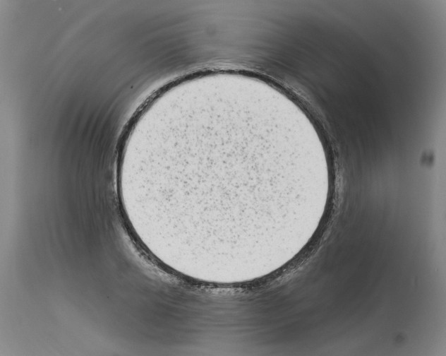 X0000113960934200911061322