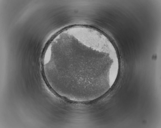 X0000113960935200911061322