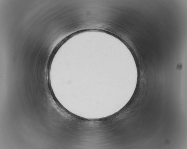X0000113960936200911061322
