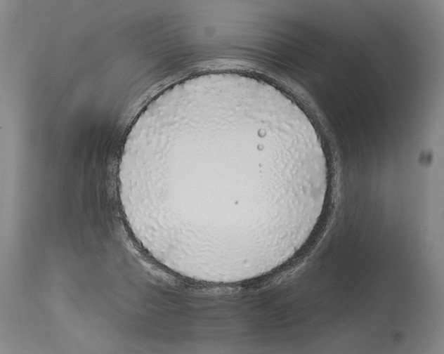 X0000113960937200911061322