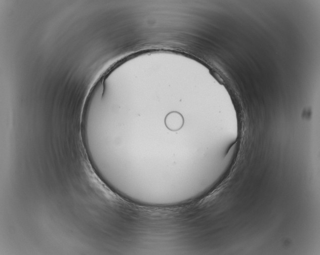 X0000113960940200911061322