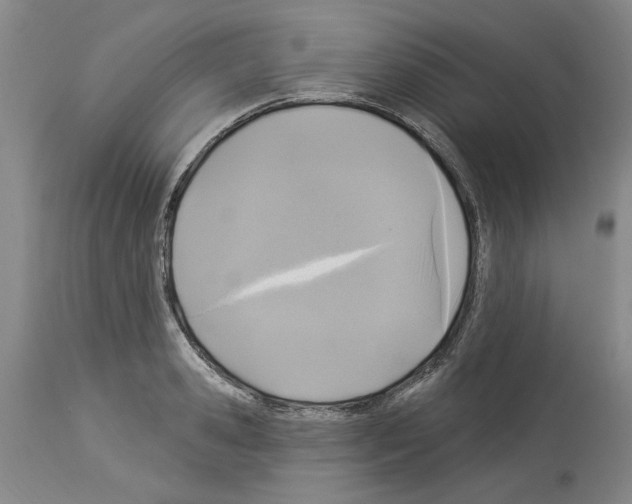 X0000113960941200911061322