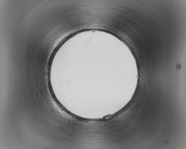 X0000113960942200911061322