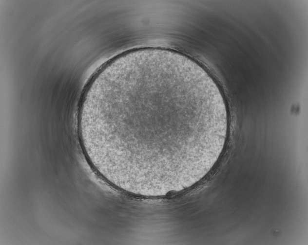 X0000113960944200911061322