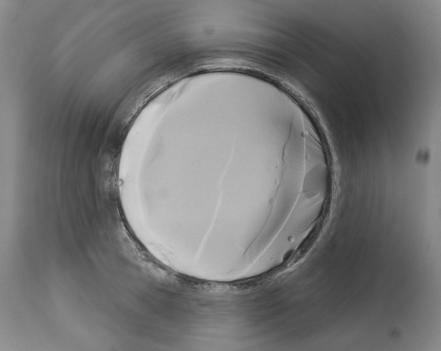 X0000113960945200911061322