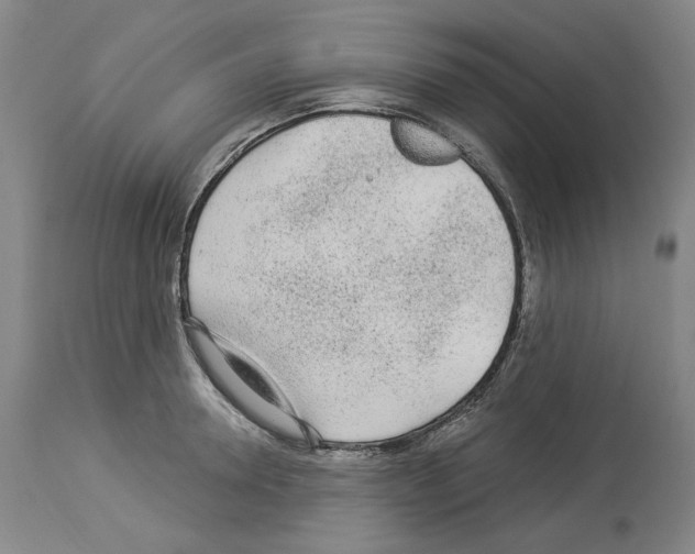 X0000113960946200911061322
