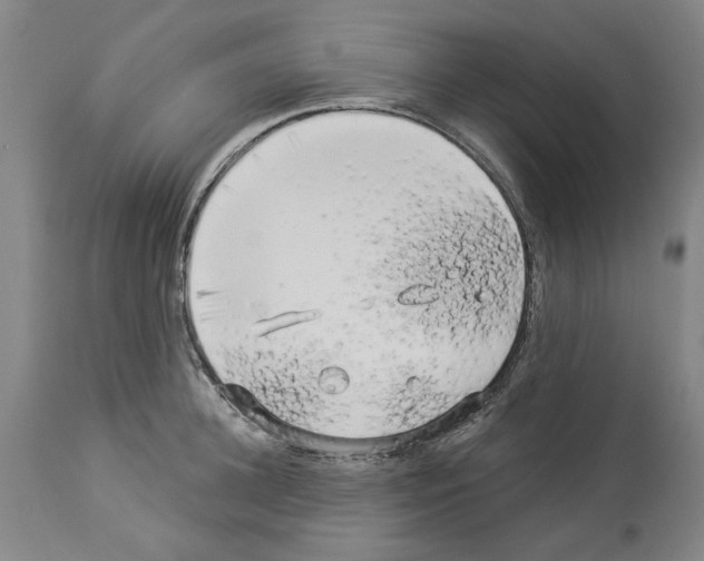 X0000113960948200911061322
