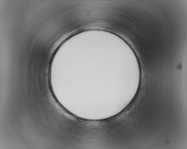 X0000113960949200911061322