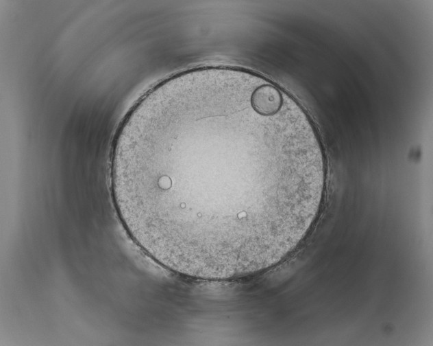 X0000113960950200911061322