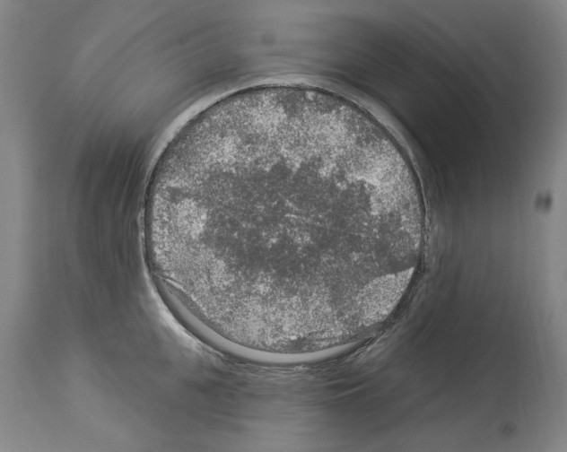 X0000113960951200911061322