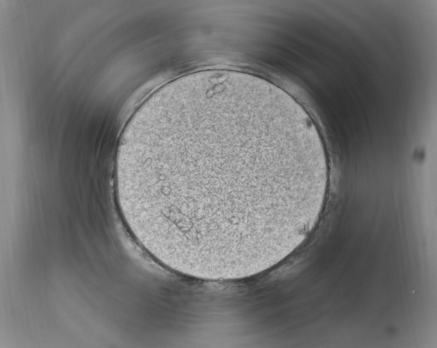 X0000113960954200911061323