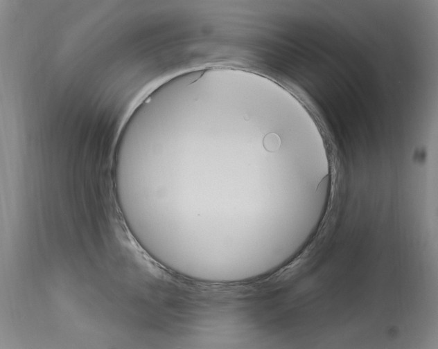X0000113960956200911061323
