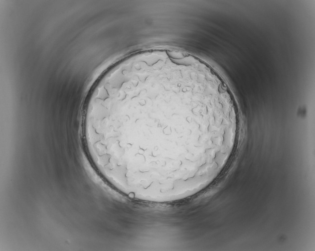 X0000113960957200911061323
