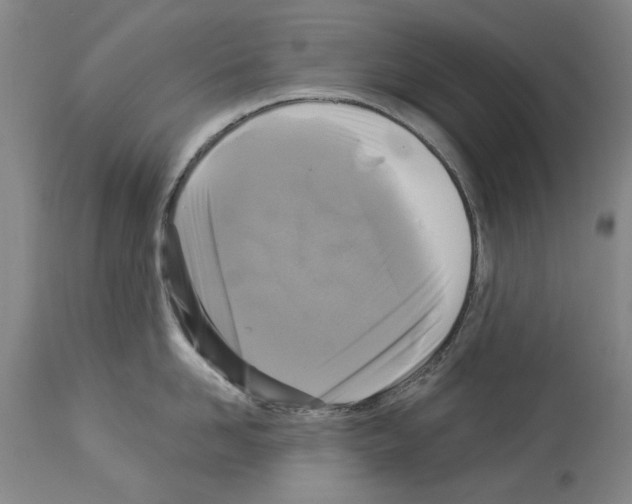 X0000113960958200911061323
