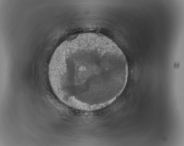 X0000113960961200911061322