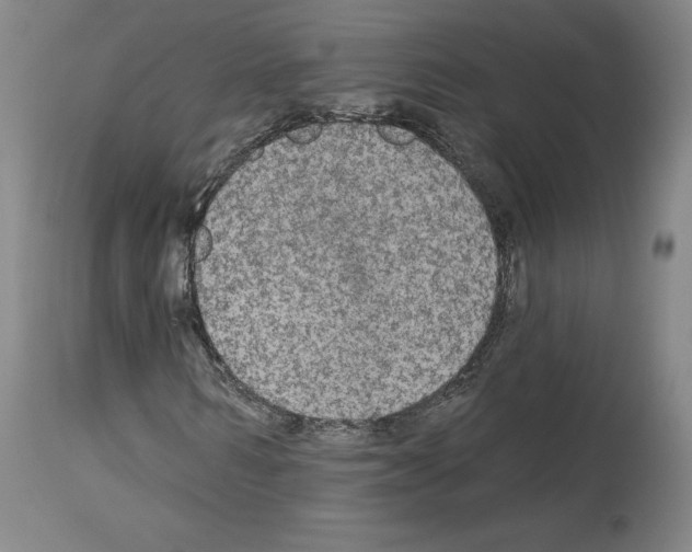 X0000113960962200911061322